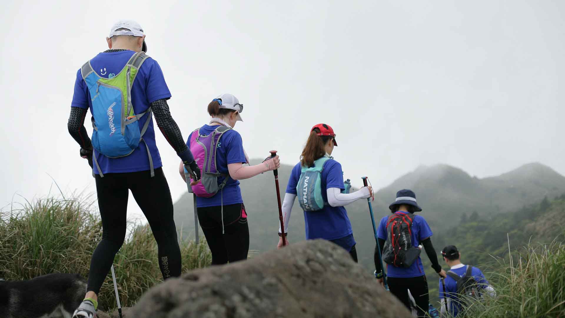 Book cheap flights online at best price